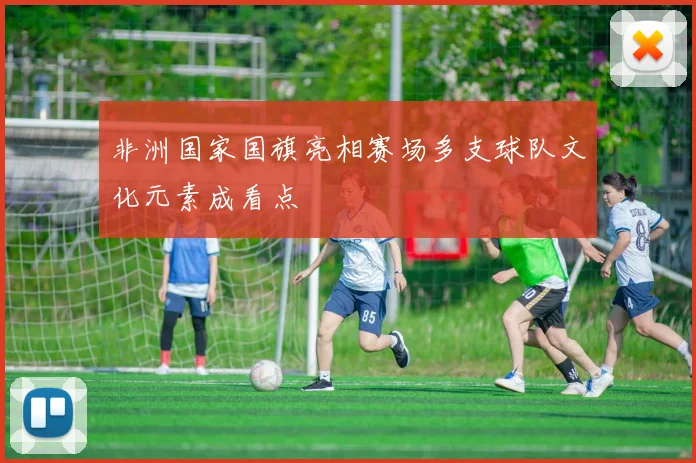 非洲国家国旗亮相赛场多支球队文化元素成看点