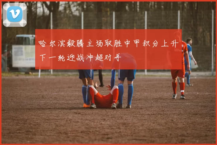 哈尔滨毅腾主场取胜中甲积分上升下一轮迎战冲超对手