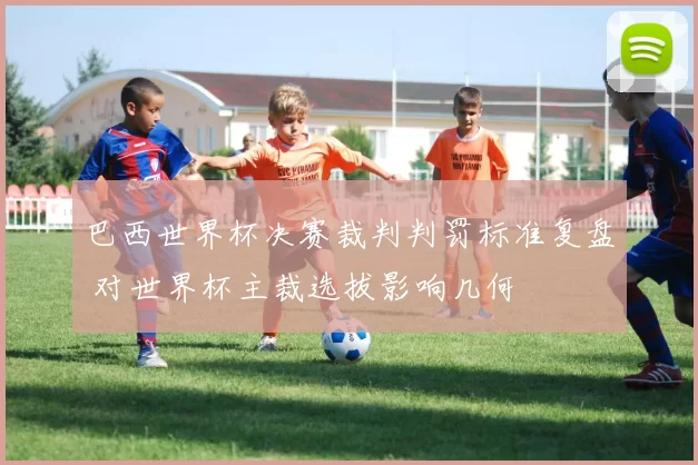 巴西世界杯决赛裁判判罚标准复盘 对世界杯主裁选拔影响几何