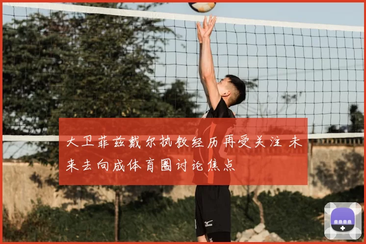 大卫菲兹戴尔执教经历再受关注 未来去向成体育圈讨论焦点