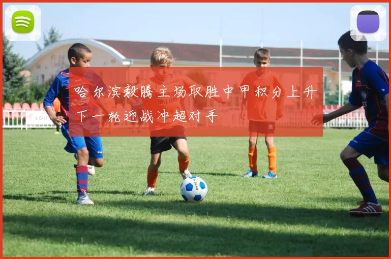 哈尔滨毅腾主场取胜中甲积分上升下一轮迎战冲超对手